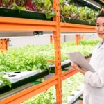 Mennyit keres egy botanikus?