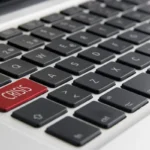 Mennyit keres egy digitális kép- és szövegszerkesztő?